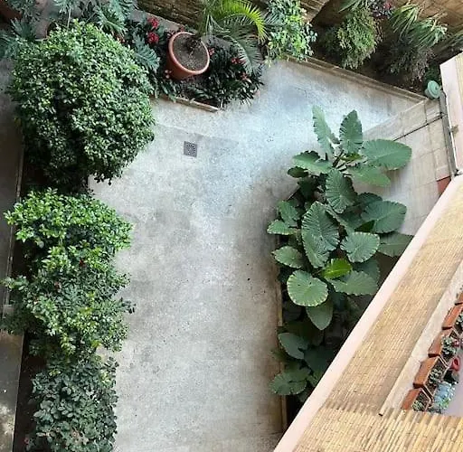 Casa Dalia Rome